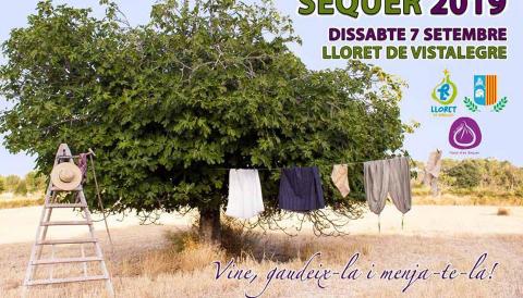 Festa des Sequer 2019