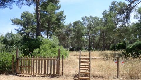Lloret-Sortida-Arribada
