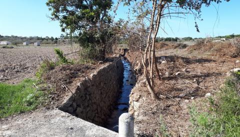  torrent de Llorac